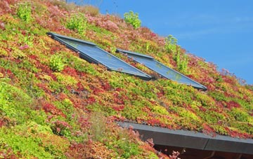 Haythorne living roof systems