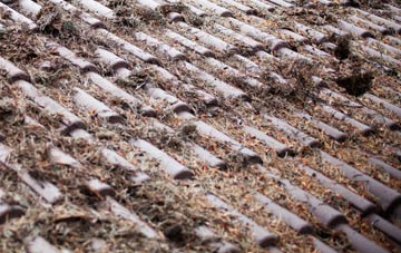 Haythorne roof cleaning companies