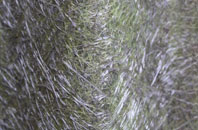 Haythorne fibreglass roof work